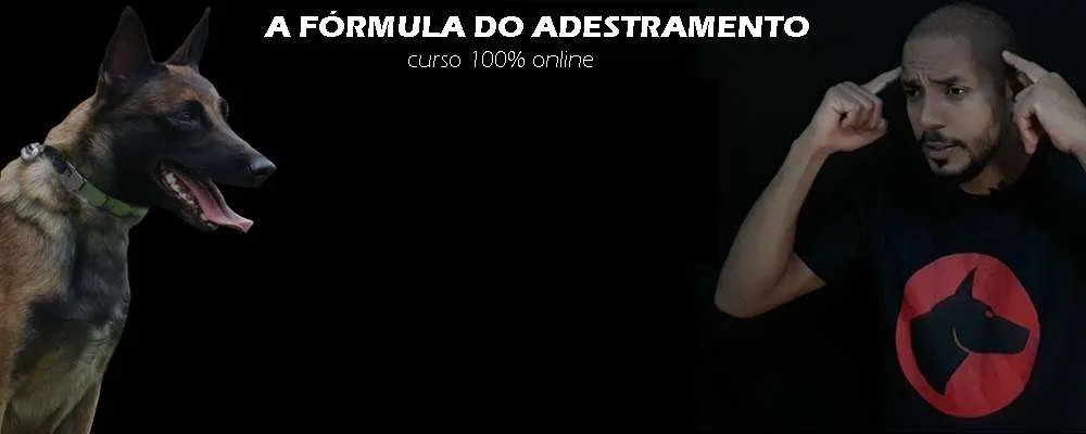 Capa: Baixar A Fórmula do Adestramento 2.0 Dionatas Piloto Curso Completo