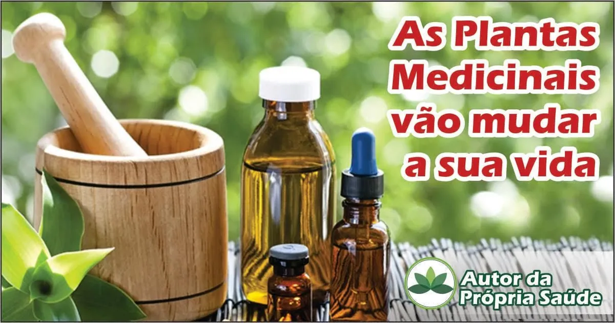 Capa: Curso Fitoterapia Daniel Forjaz: Baixar Conteúdo Completo