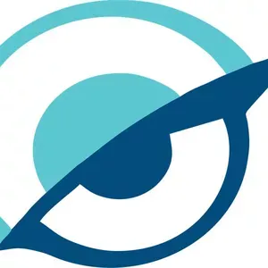 Capa: Olhos de Águia Tatiana Gebrael Download Completo 2024