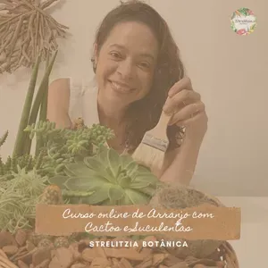 Capa: Curso de Arranjos com Suculentas: Baixar Completo + Acesso Rápido