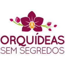 Capa: Orquídeas: Baixar Curso Completo do Professor Alberto AGORA!