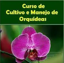 Capa: Baixar Curso Orquídeas Antônio Coutinho: Domine o Cultivo