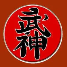 Capa: Baixar Curso Ninjutsu Ninja Faixa Preta Completo – Download Agora!