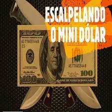 Capa: Pio Trade: Baixar Curso Mini Dólar Escalpelado – Estratégias Avançadas