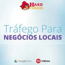 Capa: Curso Tráfego para Negócios Locais Fábio Bindes Download Rápido