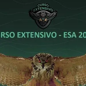 Capa: Baixar ESA 2023: Curso Online Completo Estratégia Militar