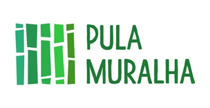 Capa: Curso de Chinês Pula Muralha – Baixar Agora!
