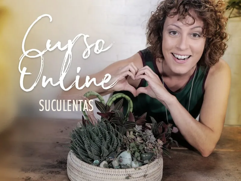 Capa: Curso Carol Costa: Download Essencial de Arranjos com Suculentas