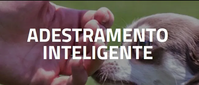 Capa: Adestramento Inteligente: Baixar Curso Alexandre Rossi (Dr. Pet)