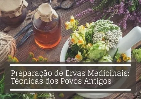 Capa: Baixar Curso Preparação de Ervas Medicinais – Afonso Lopes