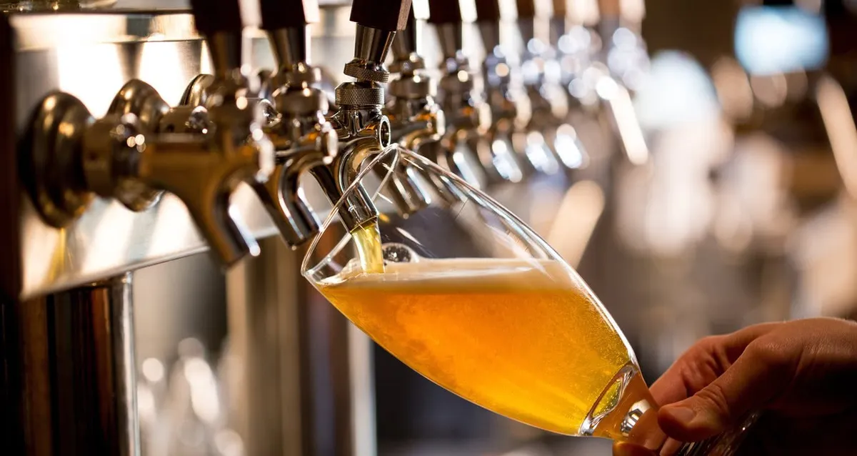 Capa: Baixe Curso Cervejas: Introdução Felipe Vasconcellos