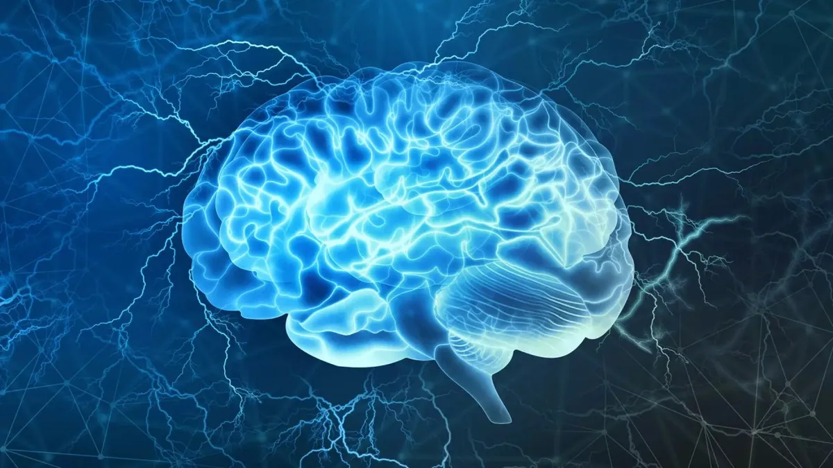 Capa: Baixar Neurociência e Comportamento com Eslen Delanogare (2021)