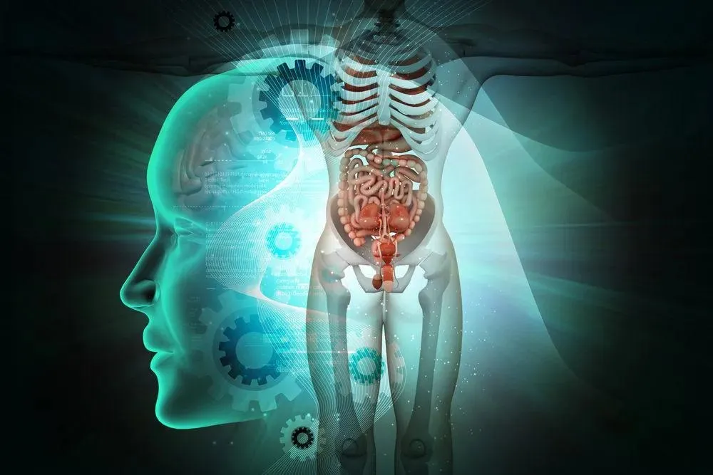 Capa: Baixar Curso Anatomia Humana Detalhada Completo Agora!