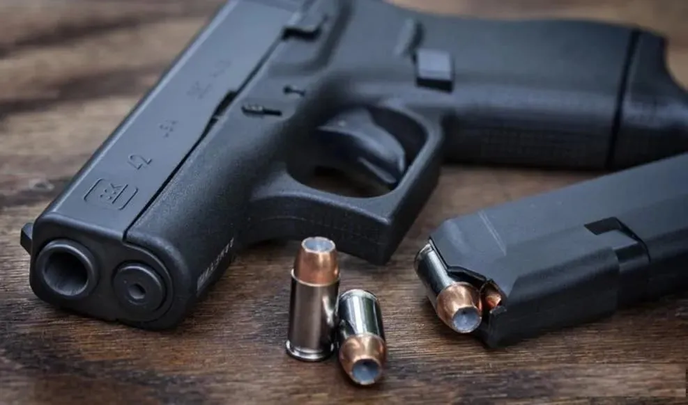 Capa: Baixar Curso Despachante Arma Fogo + Suporte Credenciamento – Venilton Serpa