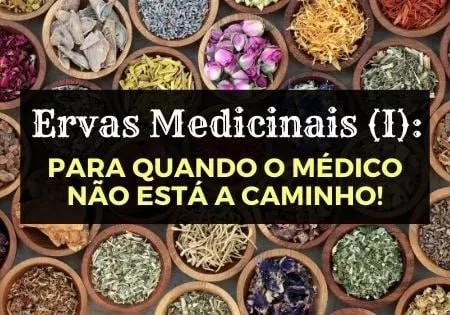 Capa: Baixar Curso Ervas Medicinais (I) Afonso Lopes